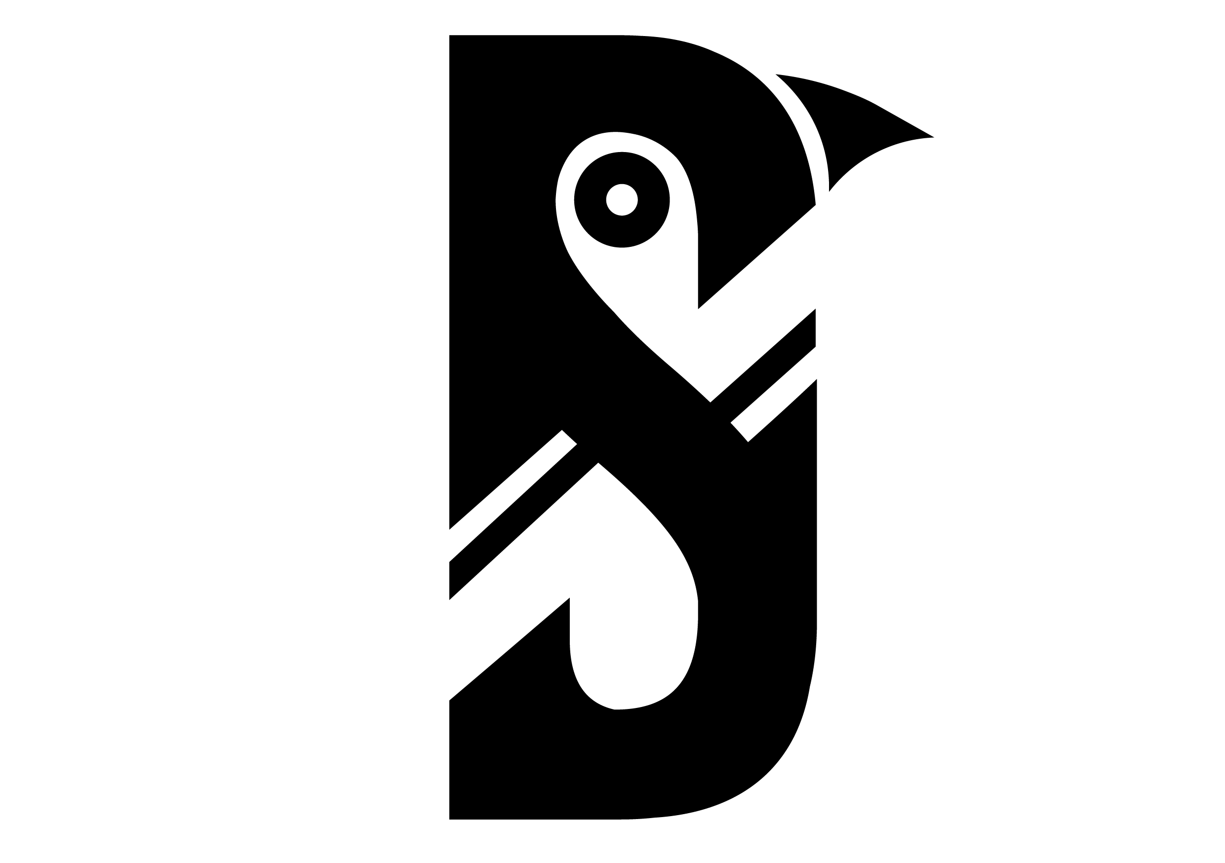 Ayşe Şelte  Grafik Tasarımcı
